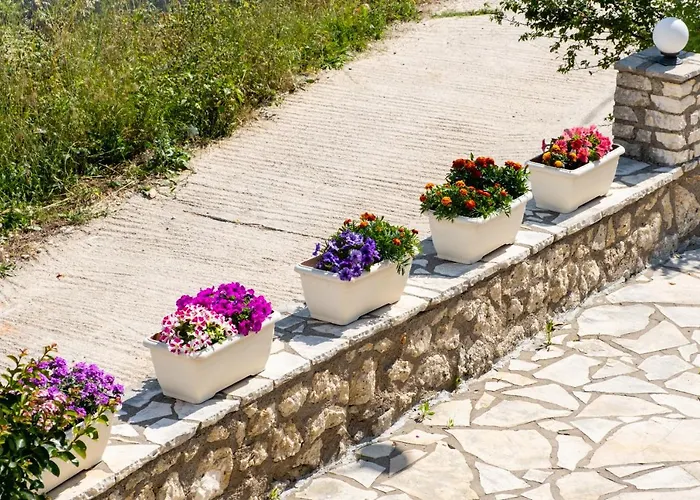 Nikoleta 5 * Nikiana