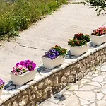 Nikoleta 5 * Nikiána