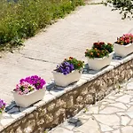 Nikoleta 5 Apartman *